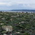 Low tide