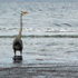 Heron