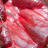 Icky anemone